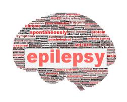 Community-based epidemiological study of epilepsy in the Qena governorate in Upper Egypt, a door-to-door survey